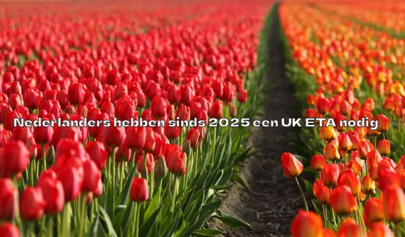 Nederlanders hebben sinds 2025 een UK ETA nodig